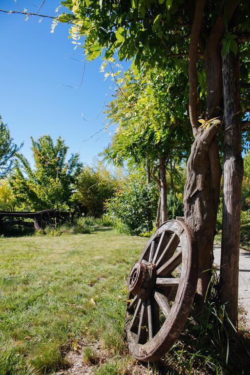 I Grilli Bed and Breakfast Castagnole delle Lanze Εξωτερικό φωτογραφία